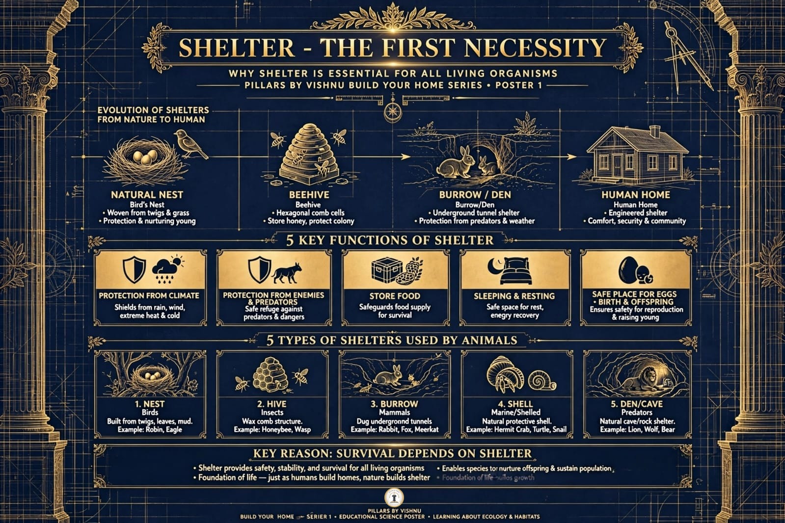 Shelter - The First Necessity